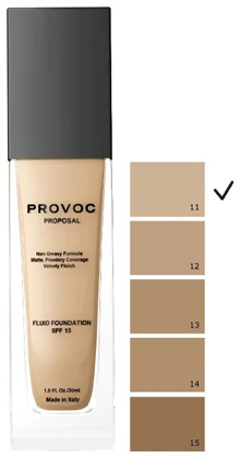 Provoc Fluid Foundation - Proposal