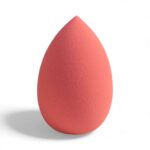 Elephant Egg Shape Blender