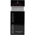 Silver Scent Eau De Toilette 100ml