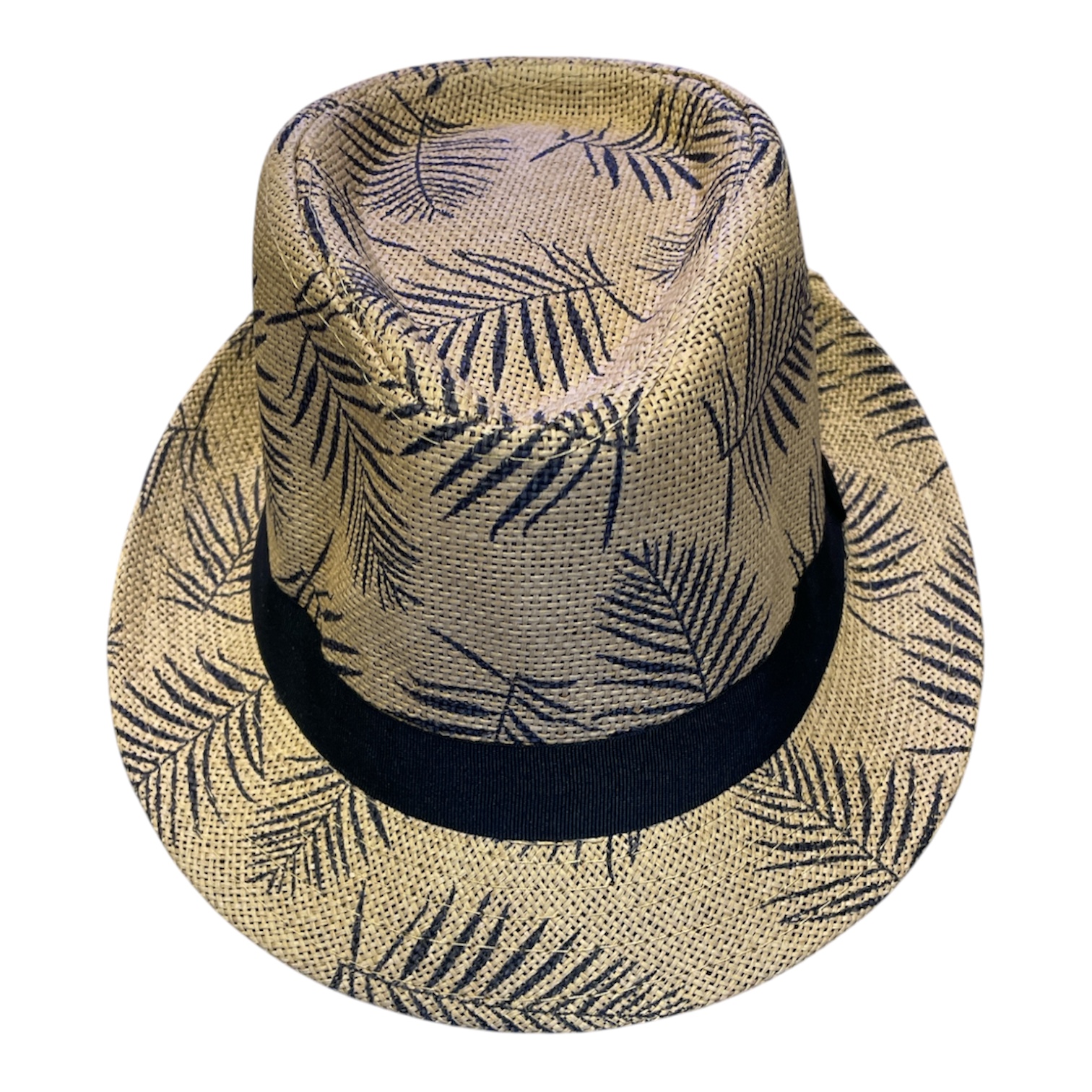 Palms Beach Hat